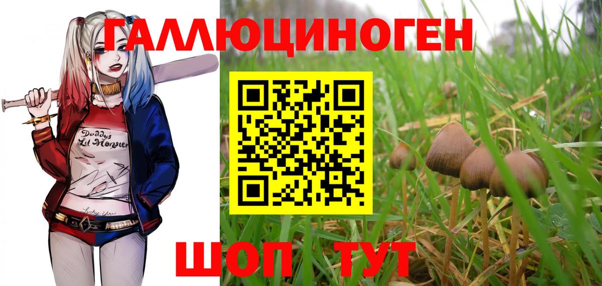 Галлюциногенные грибы GOLDEN TEACHER  Вход с VPN  Нововоронеж 